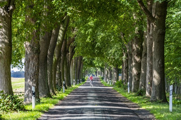 Oak Avenue near Bugewitz