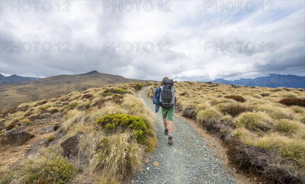 Hiker on Kepler Track