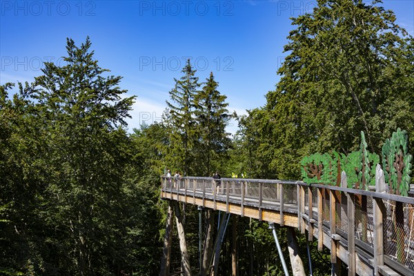 Tree top walk Salzkammergut am Gruenberg