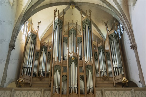 Main organ