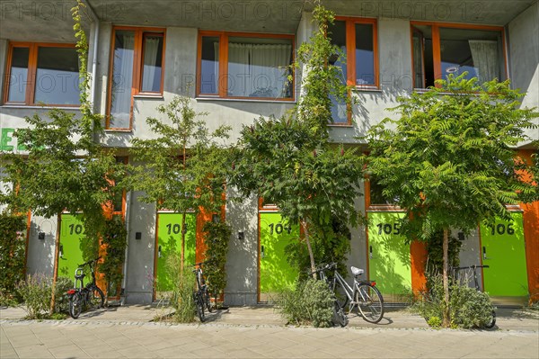 Green house facade in the entrance area of a residential house