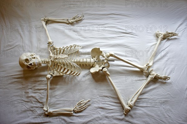 Human skeleton lies in unusual posture on a sheet