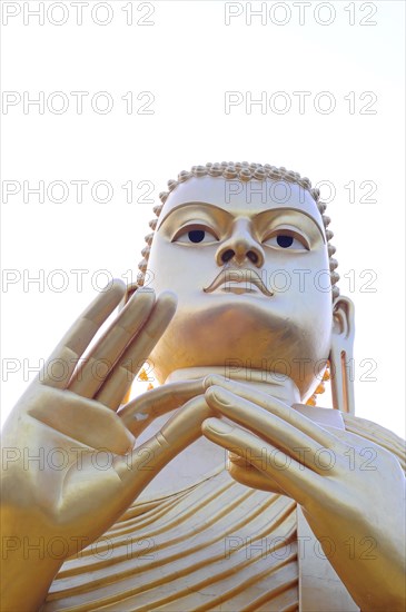 Golden Buddha Statue