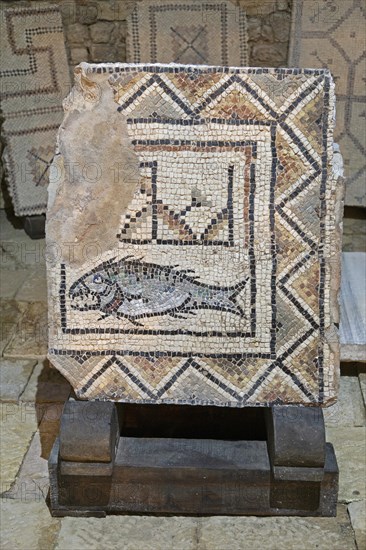 Mosaic