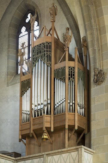 Side Organ