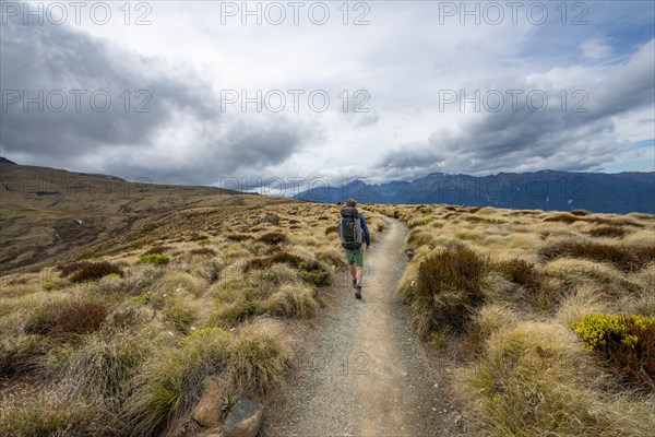 Hiker on Kepler Track