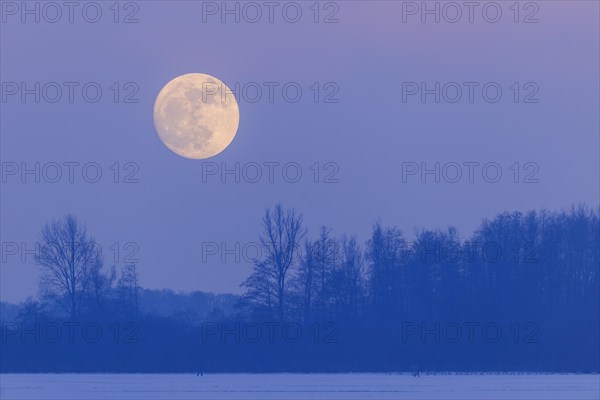 Moonrise over the Duemmer