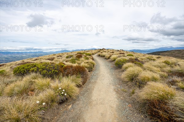 Hiking trail through grassland