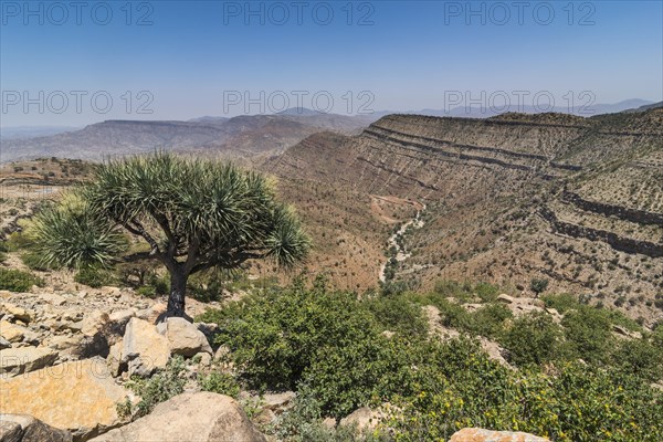 Barren mountain landscape