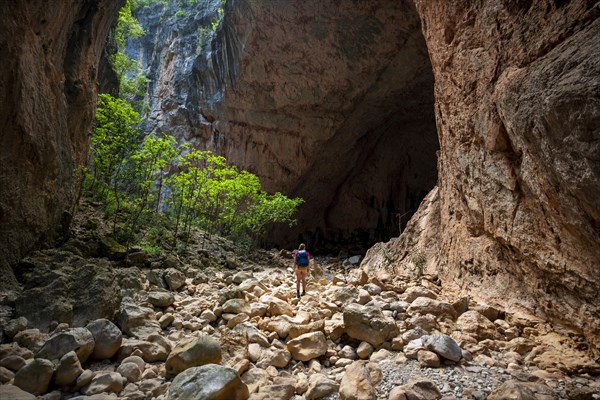 Hiker stands in a gorge