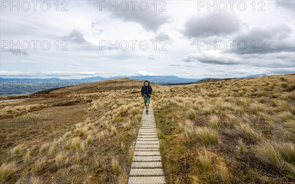 Hiker on Kepler Track