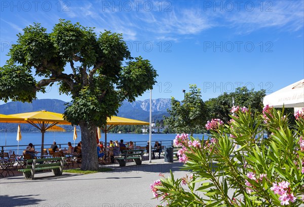 Guest garden at the Esplanade