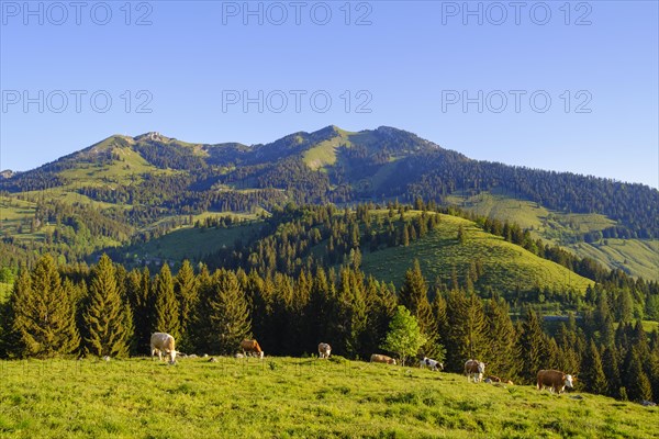 Wendelstein and Wildalpjoch