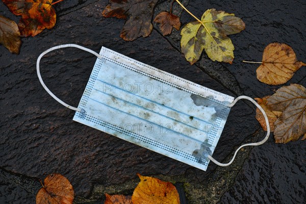 Discarded face mask lying on the ground in autumn foliage