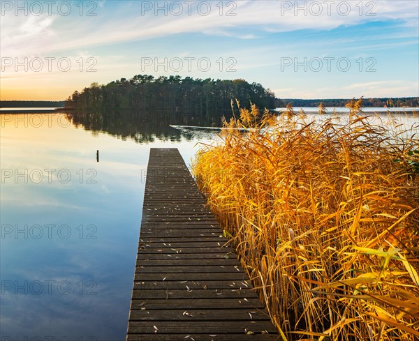 Footbridge in the reeds at the Great Lychen Lake in autumn