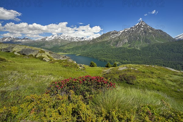 View from Piz da la Margna