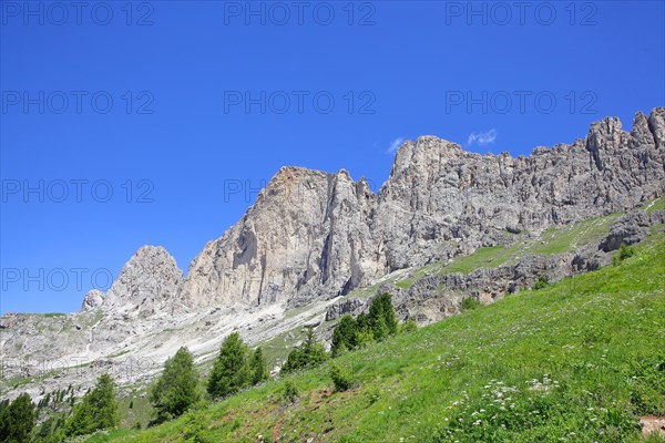 Rose garden mountain range