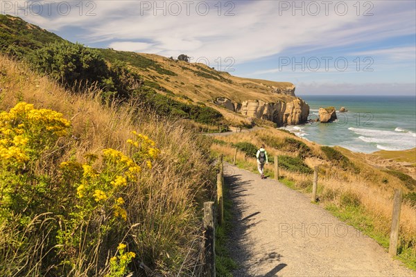 Hiking trail to Tunnel Beach