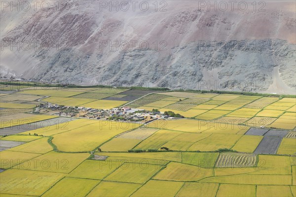 Fields along the Rio Ocona