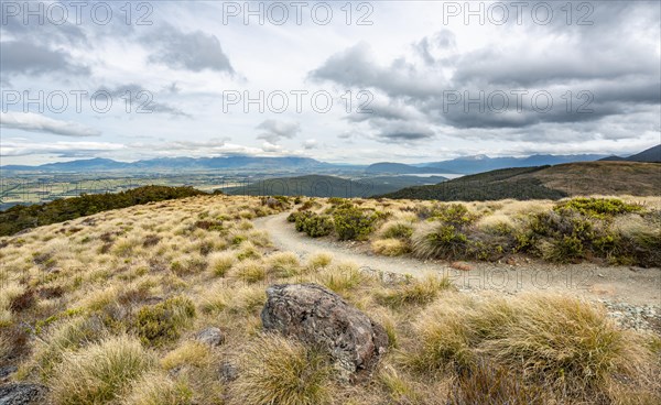 Hiking trail through grassland