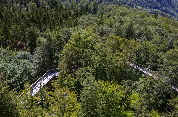 Tree top walk Salzkammergut am Gruenberg