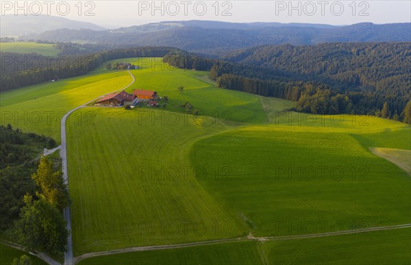 Cultural landscape at the Mondseeberg with Einoedhof