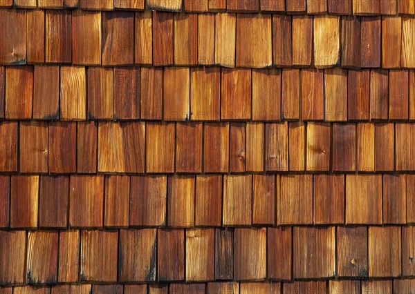 Wood shingle