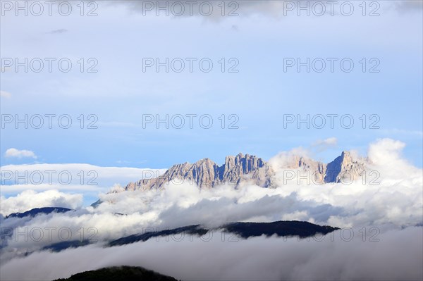 Mountain massif rose garden above the haze in the valley