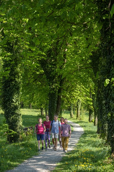 Group hiking