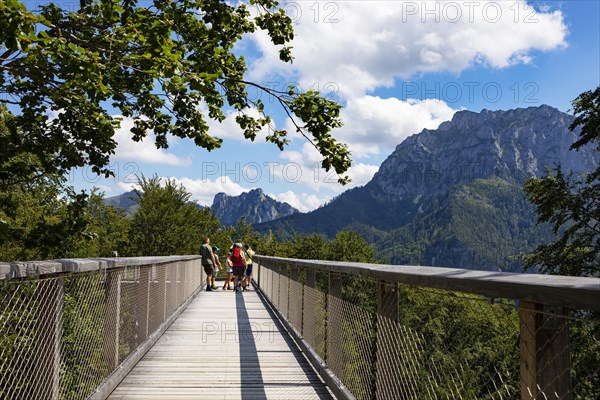 Tree top path Salzkammergut at Gruenberg with view to the Traunstein