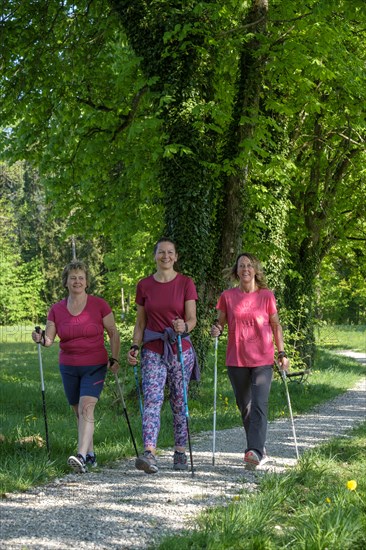 Group of woman Nordic walking