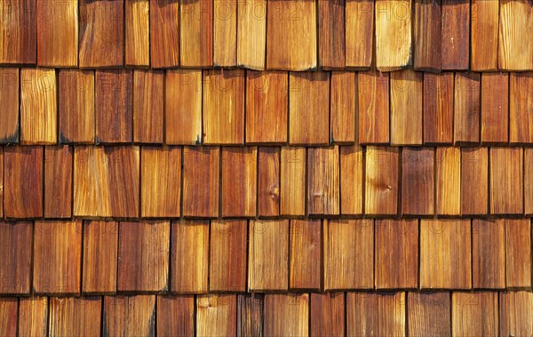 Wood shingle