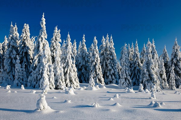Deeply snow-covered untouched winter landscape