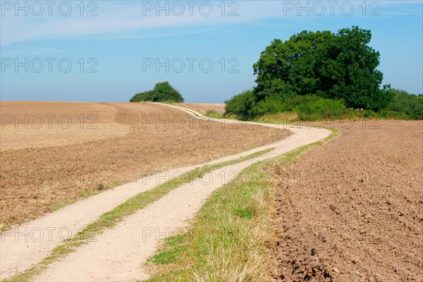 Field path winds through freshly ploughed field