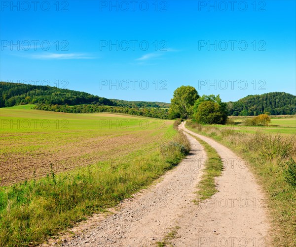 Field path winding through cultivated landscape in autumn