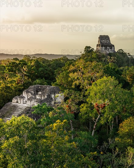 Mayan temple in the rainforest