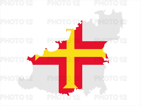 Flag in form form of the geographical country