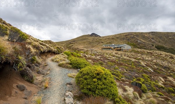 Kepler Track hiking trail