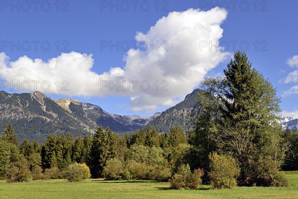 Panoramic view to the mountains near Oberstdorf