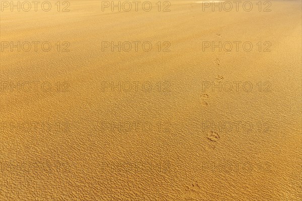 Wind blowing over structures in the sand