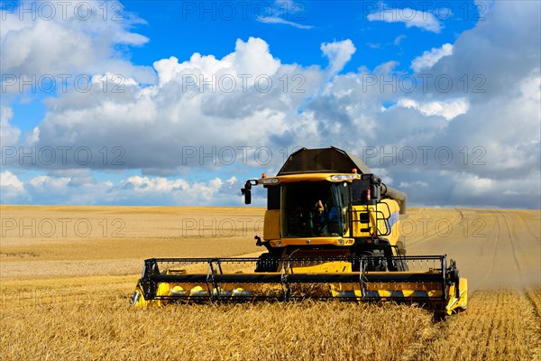 Combine harvests barley