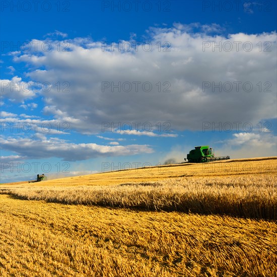 Two combine harvesters in a cornfield harvesting barley