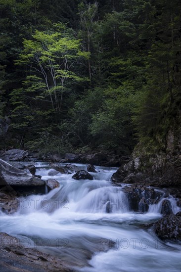 River in the Groppenstein Gorge