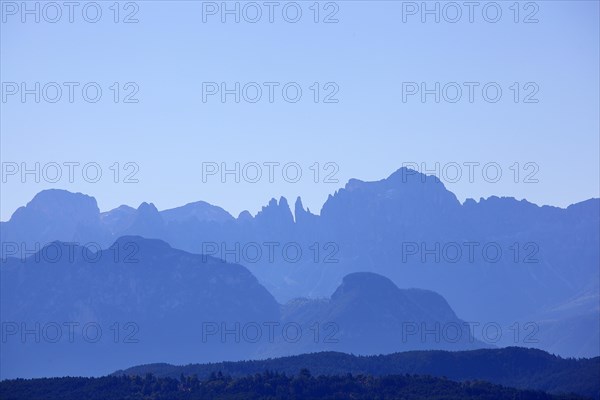 Mountain massif rose garden at the blue hour