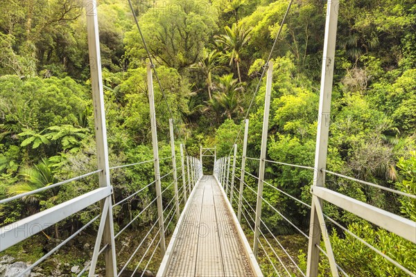 Suspension Bridge over the Wainui River