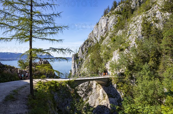 Bridge over the Lainaugraben at the mountain Traunstein