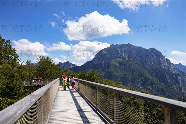 Tree top path Salzkammergut at Gruenberg with view to the Traunstein