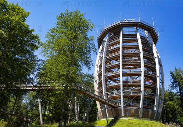 Observation tower at the tree top path Salzkammergut am Gruenberg