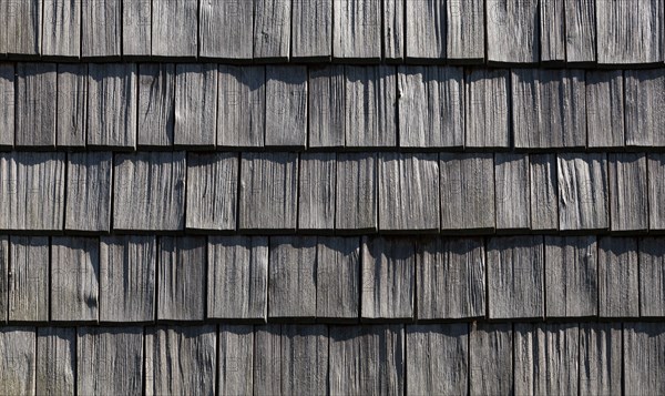 Wood shingle