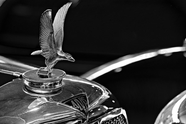 Radiator mascot eagle of oldtimer Alvis Speed 20